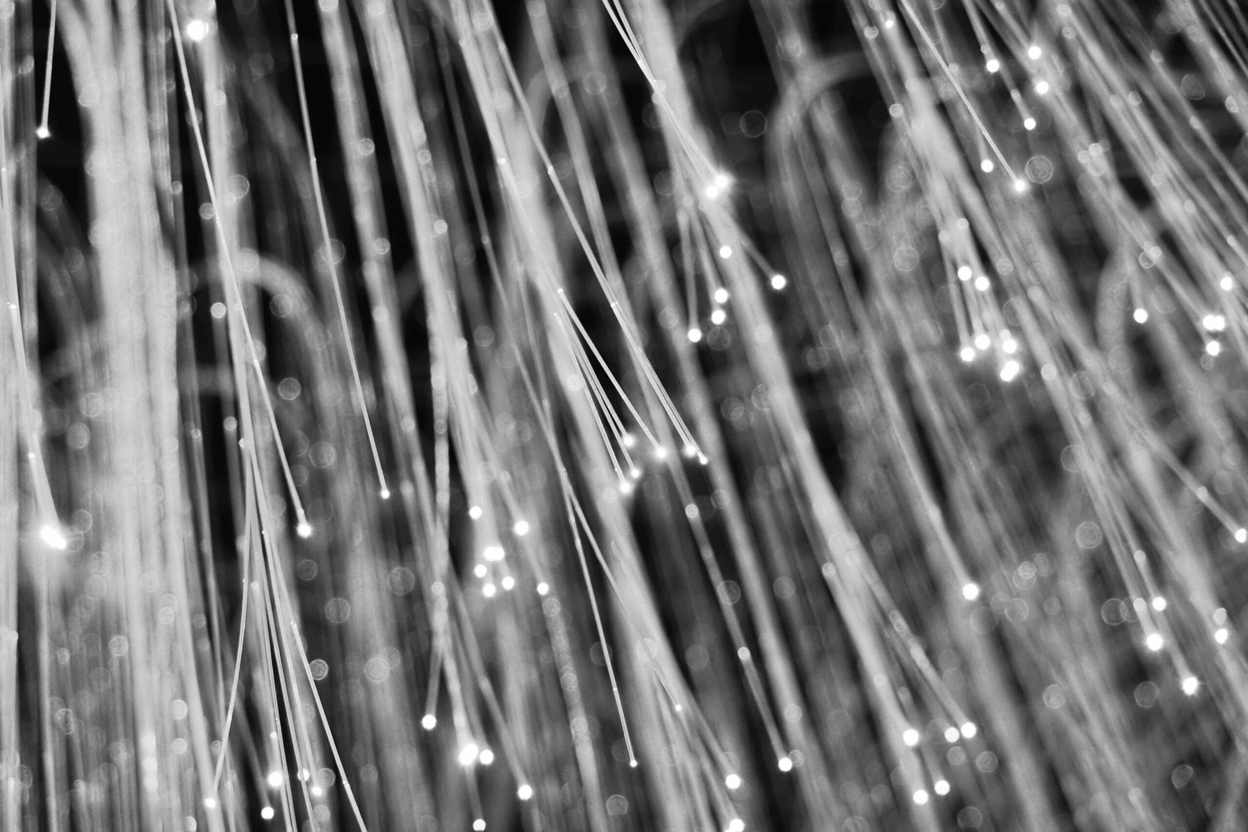 Omnibus I: cosa cambia per CSRD e CSDDD dopo il voto del Parlamento UE