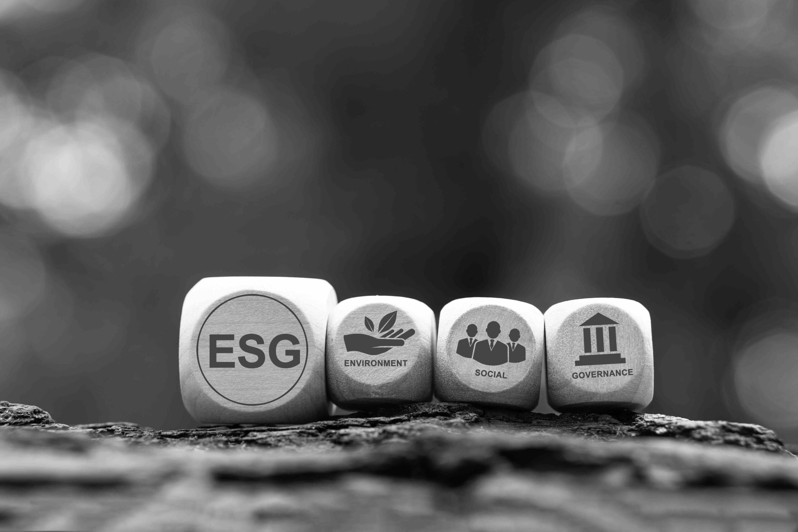 Stress test ESG: le nuove linee guida ESAs e il rafforzamento della vigilanza prudenziale europea