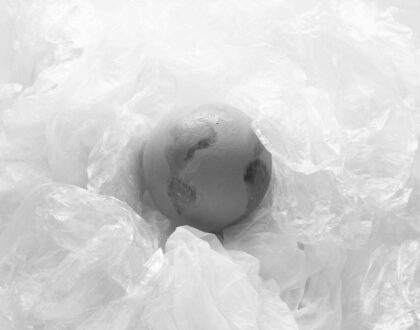 Greenwashing: la sostenibilità non è più uno slogan