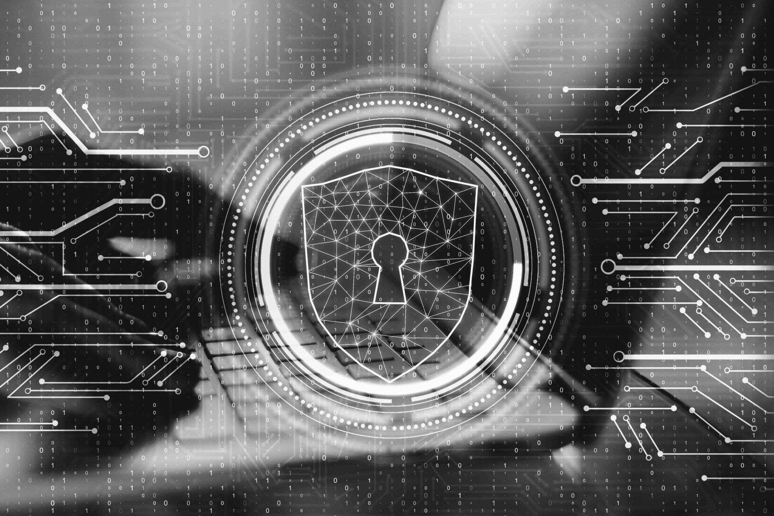 Accessibilità digitale, linee guida AgID e tutela dei dati: il parere favorevole del Garante Privacy