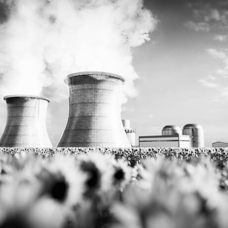 MASE: oggi a Torino il primo Dialogo sul nuovo nucleare sostenibile